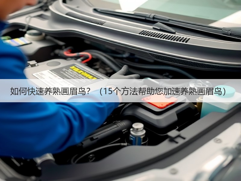 如何快速养熟画眉鸟？（15个方法帮助您加速养熟画眉鸟）