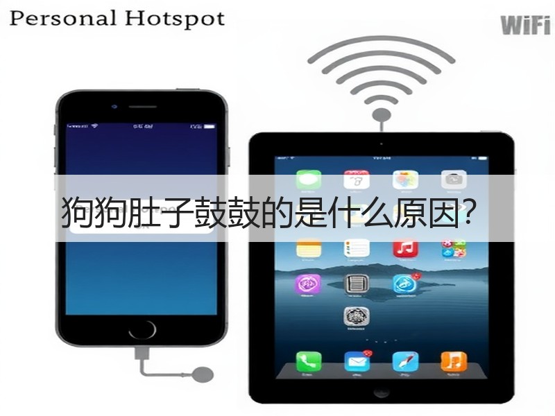 狗狗肚子鼓鼓的是什么原因？