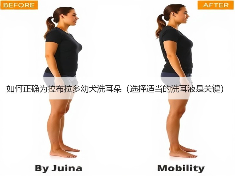 如何正确为拉布拉多幼犬洗耳朵（选择适当的洗耳液是关键）