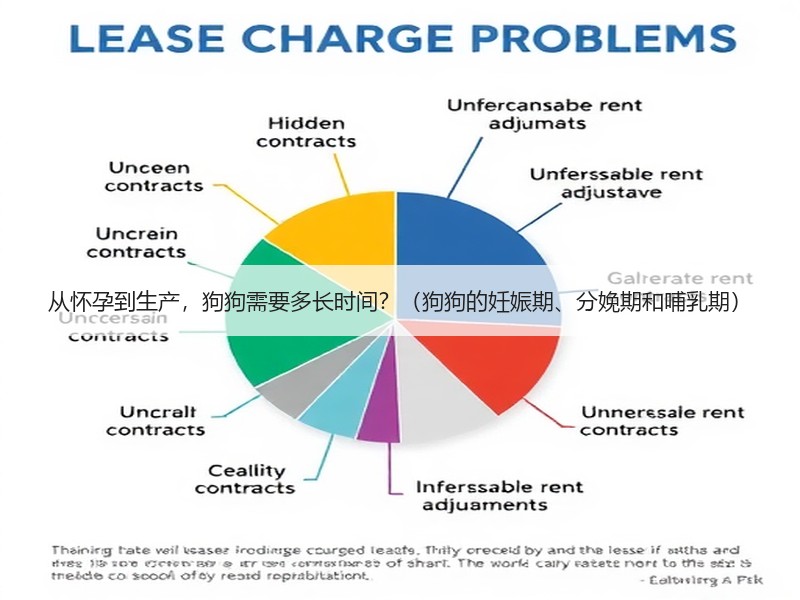 从怀孕到生产，狗狗需要多长时间？（狗狗的妊娠期、分娩期和哺乳期）