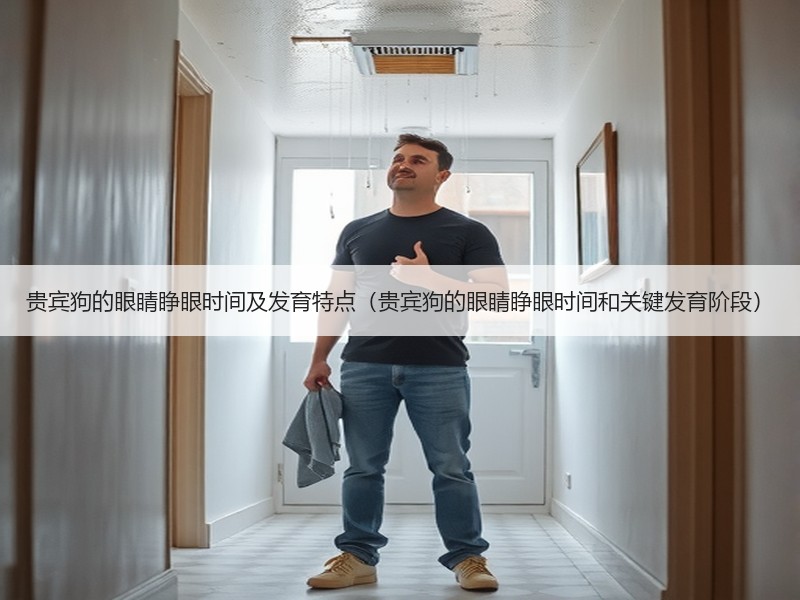 贵宾狗的眼睛睁眼时间及发育特点（贵宾狗的眼睛睁眼时间和关键发育阶段）