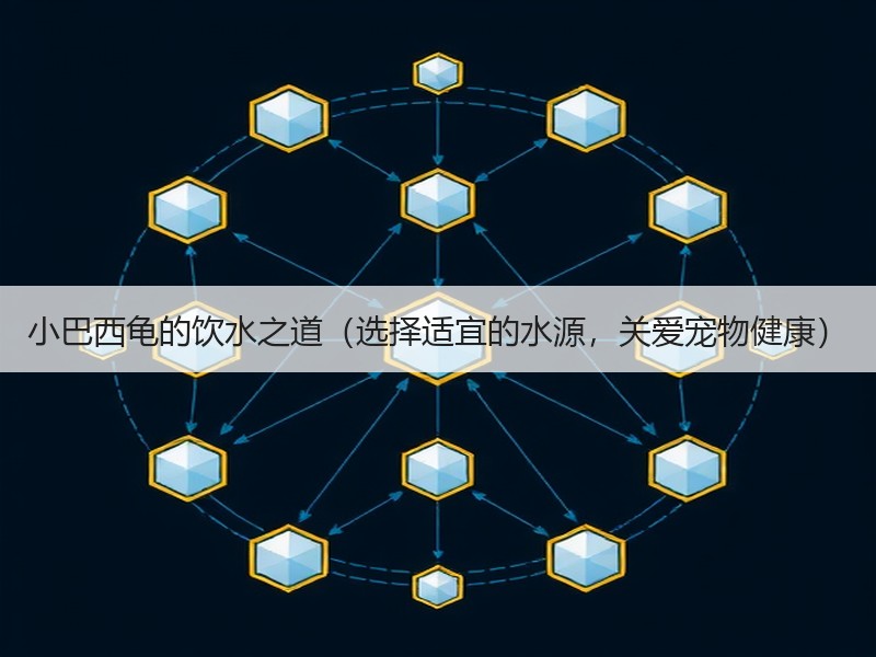 小巴西龟的饮水之道（选择适宜的水源，关爱宠物健康）