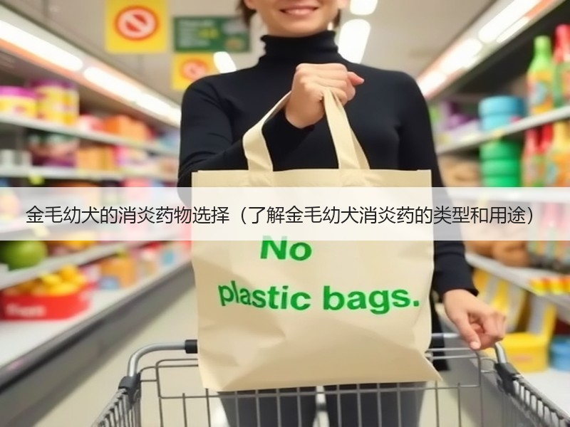金毛幼犬的消炎药物选择（了解金毛幼犬消炎药的类型和用途）