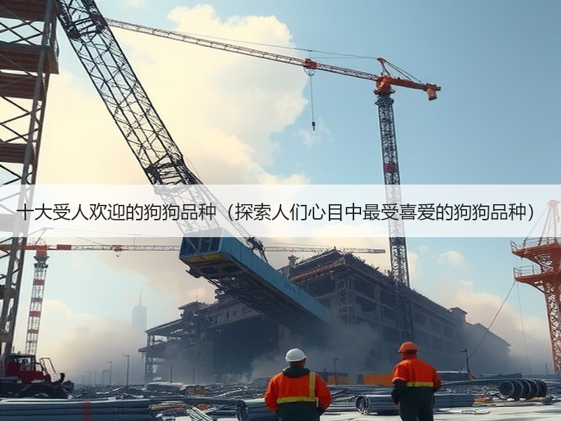 十大受人欢迎的狗狗品种（探索人们心目中最受喜爱的狗狗品种）