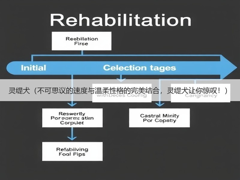 灵缇犬（不可思议的速度与温柔性格的完美结合，灵缇犬让你惊叹！）