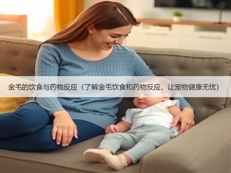 金毛的饮食与药物反应（了解金毛饮食和药物反应，让宠物健康无忧）