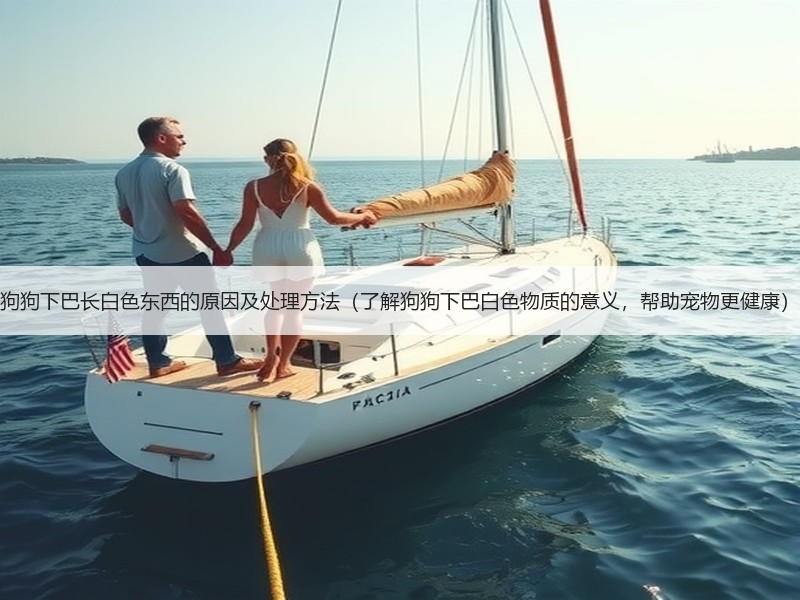 狗狗下巴长白色东西的原因及处理方法（了解狗狗下巴白色物质的意义，帮助宠物更健康）