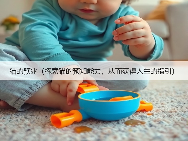 猫的预兆（探索猫的预知能力，从而获得人生的指引）