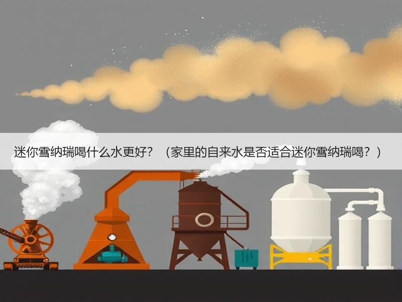 迷你雪纳瑞喝什么水更好？（家里的自来水是否适合迷你雪纳瑞喝？）