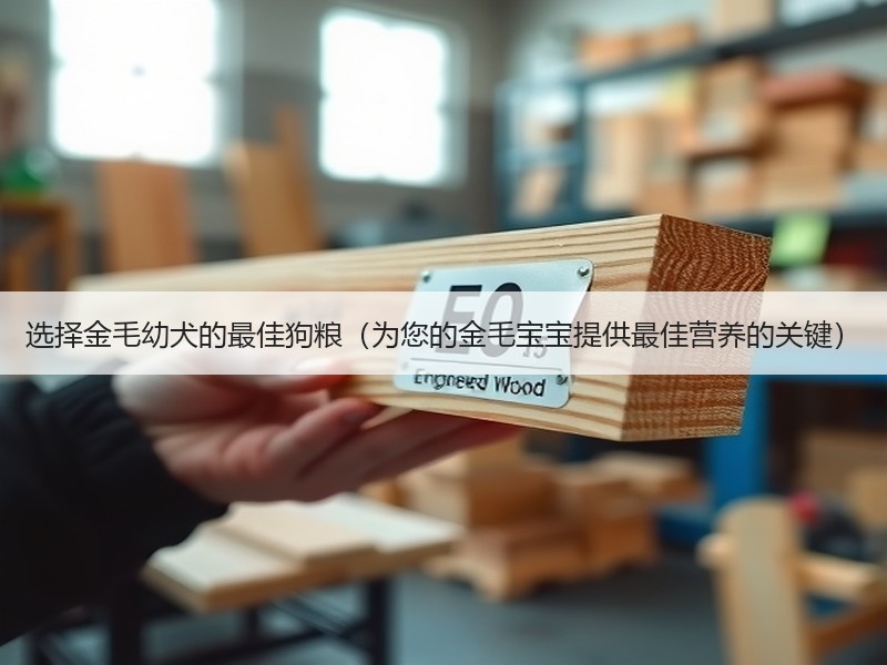 选择金毛幼犬的最佳狗粮（为您的金毛宝宝提供最佳营养的关键）