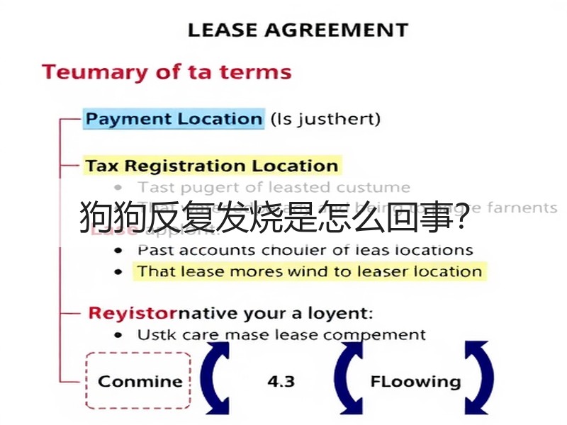 狗狗反复发烧是怎么回事？