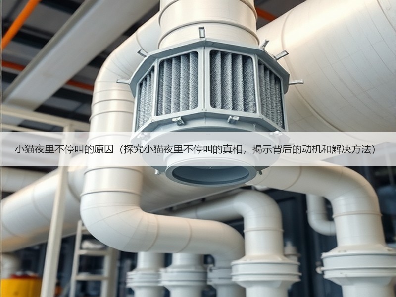 小猫夜里不停叫的原因（探究小猫夜里不停叫的真相，揭示背后的动机和解决方法）