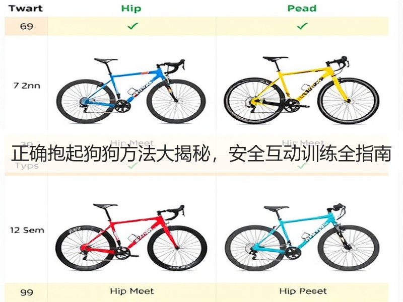 正确抱起狗狗方法大揭秘，安全互动训练全指南