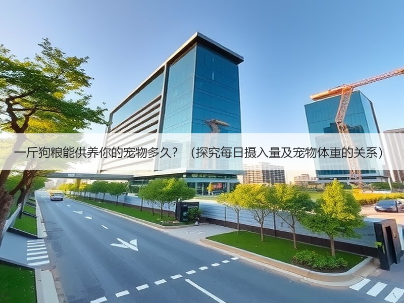 一斤狗粮能供养你的宠物多久？（探究每日摄入量及宠物体重的关系）