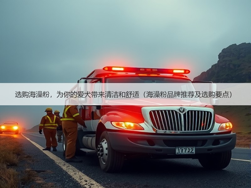 选购海澡粉，为你的爱犬带来清洁和舒适（海澡粉品牌推荐及选购要点）
