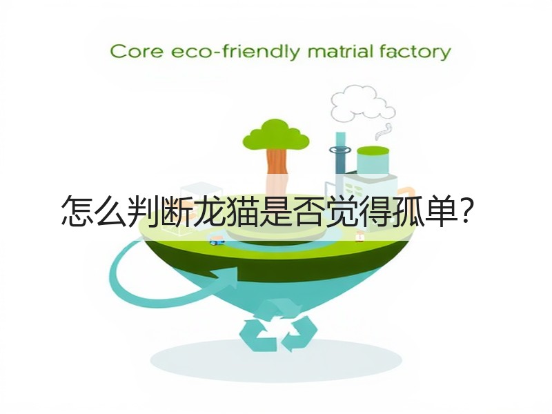 怎么判断龙猫是否觉得孤单？