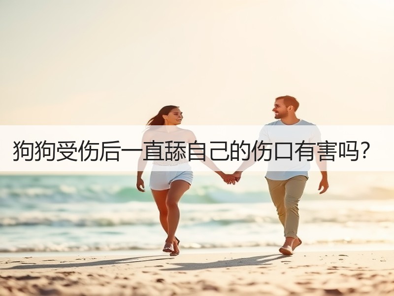 狗狗受伤后一直舔自己的伤口有害吗？