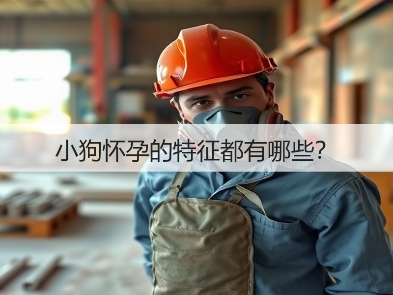 小狗怀孕的特征都有哪些？