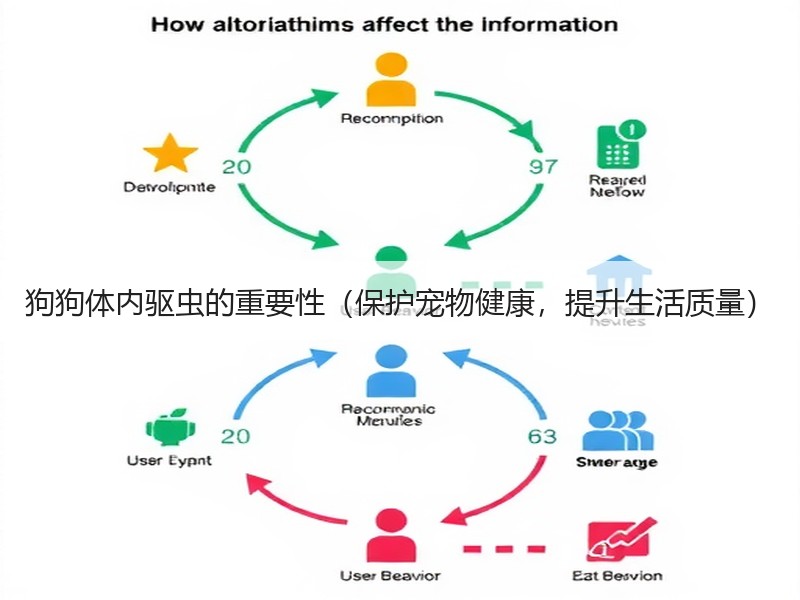 狗狗体内驱虫的重要性（保护宠物健康，提升生活质量）