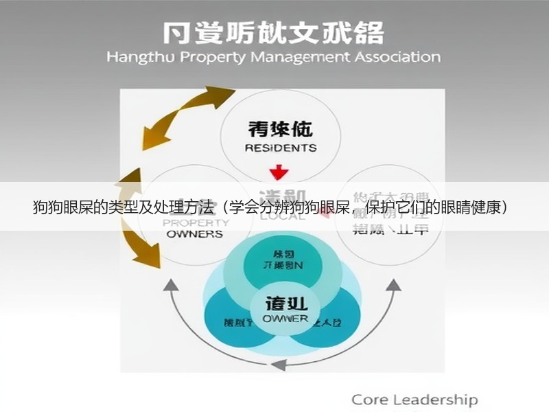 狗狗眼屎的类型及处理方法（学会分辨狗狗眼屎，保护它们的眼睛健康）