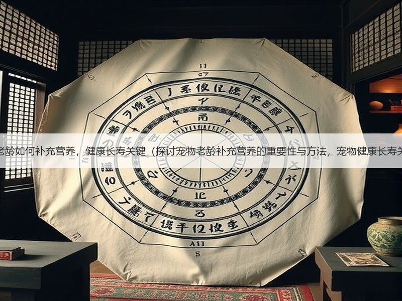 宠物老龄如何补充营养，健康长寿关键（探讨宠物老龄补充营养的重要性与方法，宠物健康长寿关键）