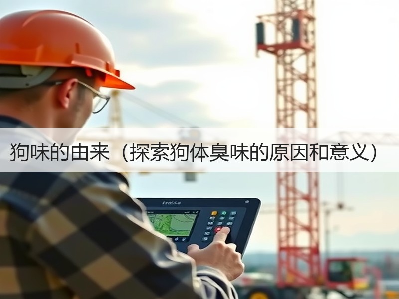 狗味的由来（探索狗体臭味的原因和意义）