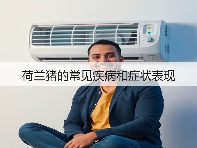 荷兰猪的常见疾病和症状表现