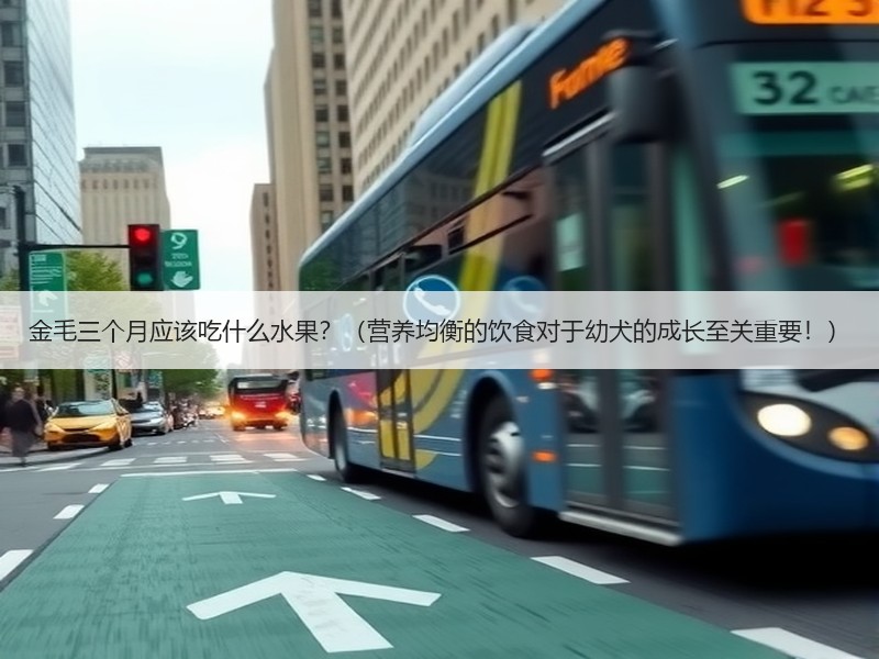 金毛三个月应该吃什么水果？（营养均衡的饮食对于幼犬的成长至关重要！）