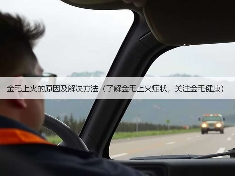 金毛上火的原因及解决方法（了解金毛上火症状，关注金毛健康）