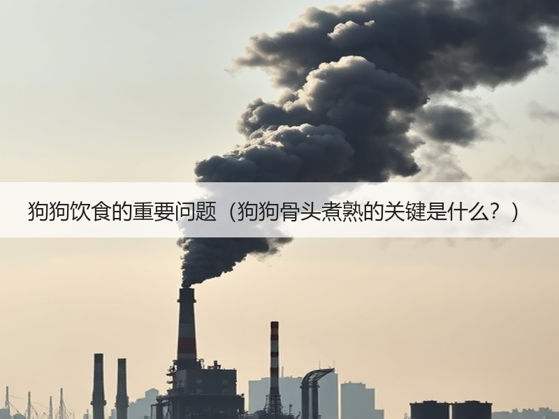 狗狗饮食的重要问题（狗狗骨头煮熟的关键是什么？）