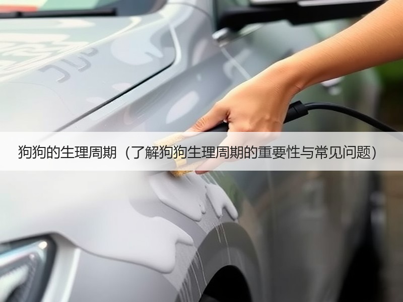 狗狗的生理周期（了解狗狗生理周期的重要性与常见问题）