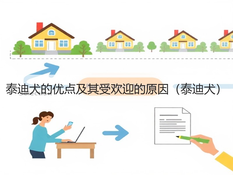 泰迪犬的优点及其受欢迎的原因（泰迪犬）