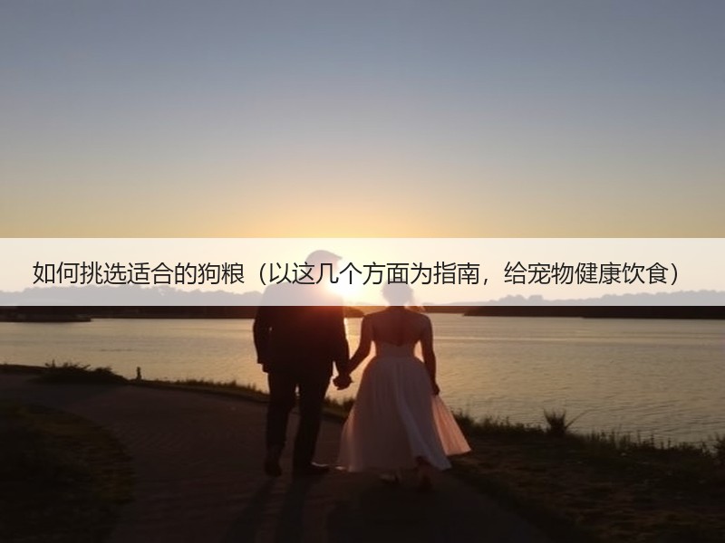 如何挑选适合的狗粮（以这几个方面为指南，给宠物健康饮食）