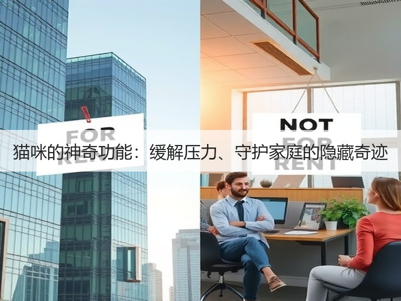 猫咪的神奇功能：缓解压力、守护家庭的隐藏奇迹
