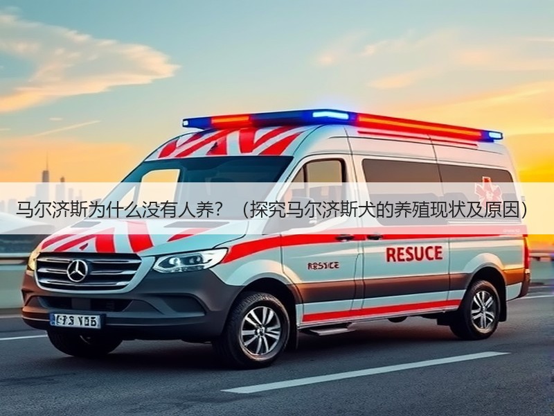 马尔济斯为什么没有人养？（探究马尔济斯犬的养殖现状及原因）