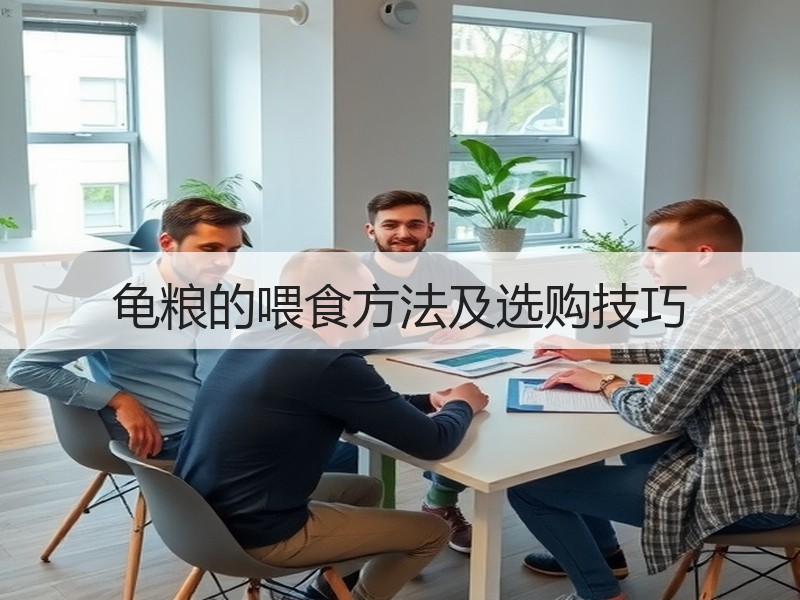 龟粮的喂食方法及选购技巧