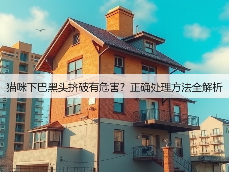 猫咪下巴黑头挤破有危害？正确处理方法全解析