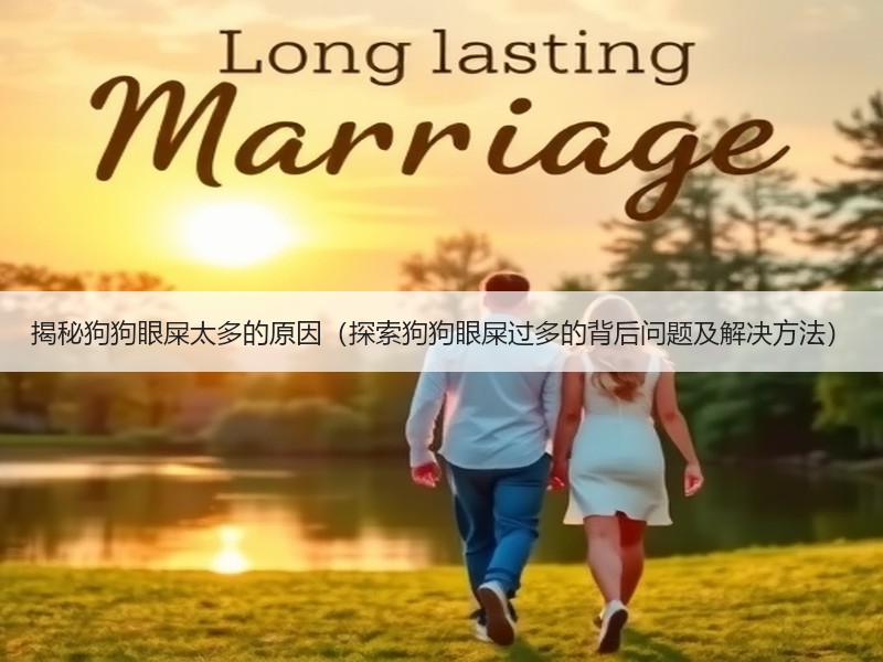 揭秘狗狗眼屎太多的原因（探索狗狗眼屎过多的背后问题及解决方法）