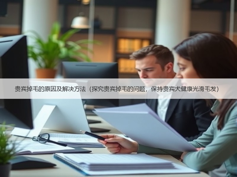 贵宾掉毛的原因及解决方法（探究贵宾掉毛的问题，保持贵宾犬健康光滑毛发）