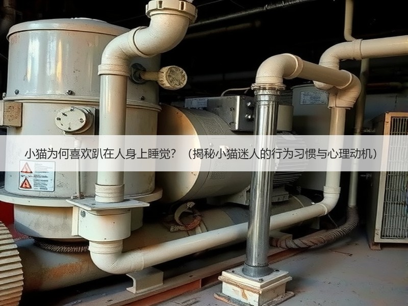 小猫为何喜欢趴在人身上睡觉？（揭秘小猫迷人的行为习惯与心理动机）