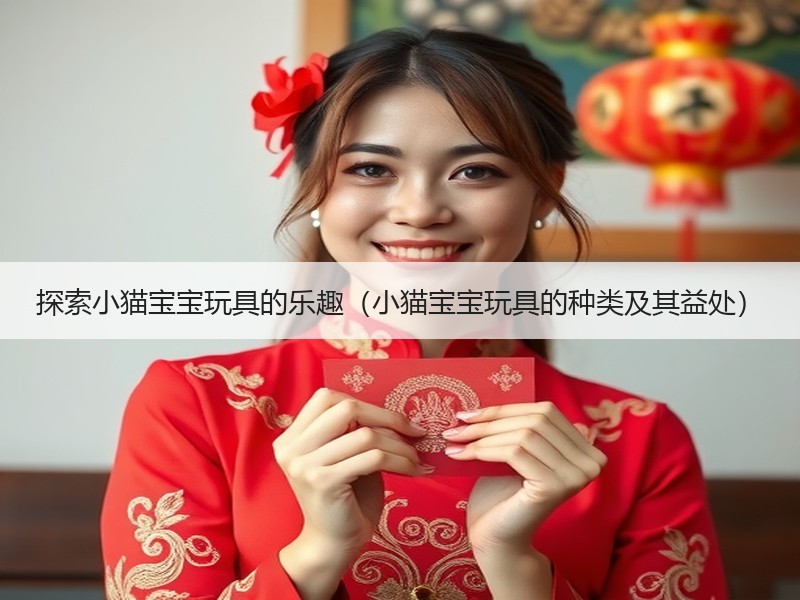 探索小猫宝宝玩具的乐趣（小猫宝宝玩具的种类及其益处）