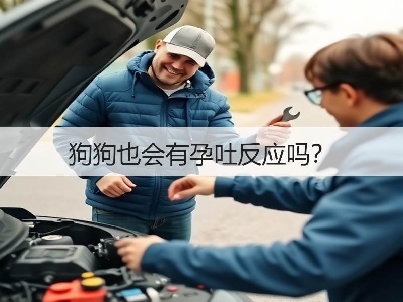 狗狗也会有孕吐反应吗？