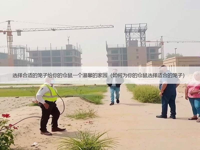 选择合适的笼子给你的仓鼠一个温馨的家园（如何为你的仓鼠选择适合的笼子）