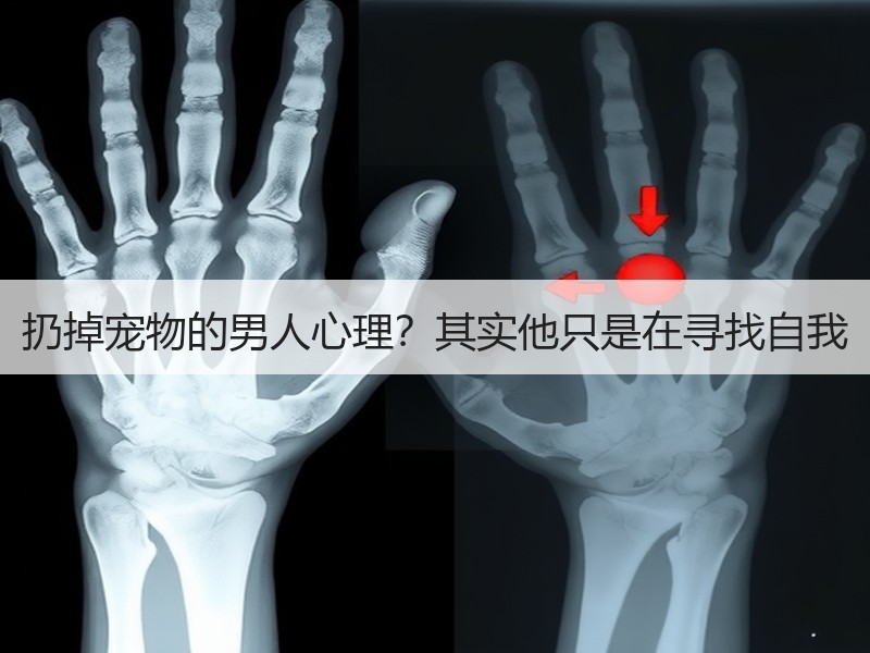 扔掉宠物的男人心理？其实他只是在寻找自我