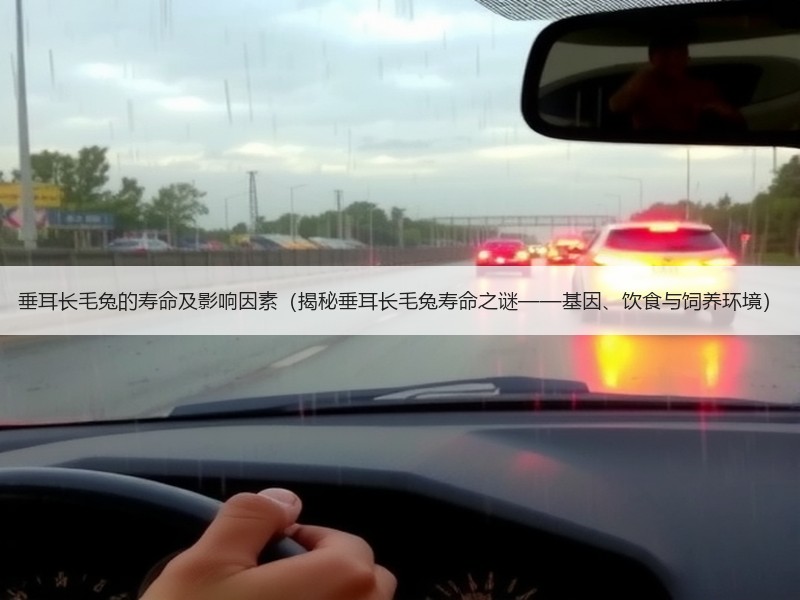 垂耳长毛兔的寿命及影响因素（揭秘垂耳长毛兔寿命之谜——基因、饮食与饲养环境）