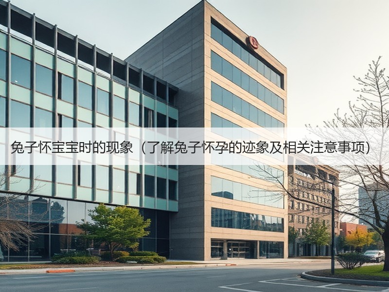 兔子怀宝宝时的现象（了解兔子怀孕的迹象及相关注意事项）