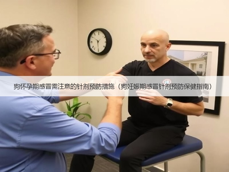 狗怀孕期感冒需注意的针剂预防措施（狗妊娠期感冒针剂预防保健指南）