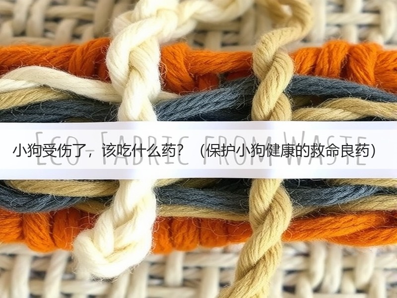 小狗受伤了，该吃什么药？（保护小狗健康的救命良药）