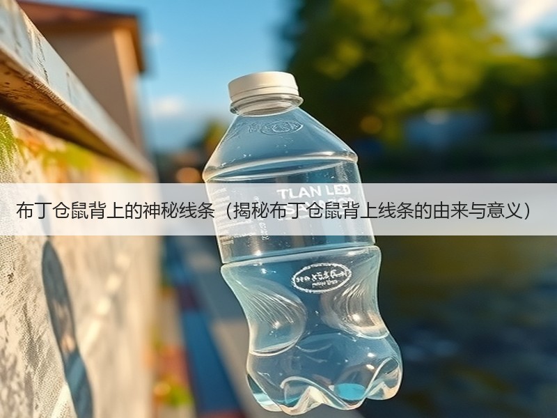 布丁仓鼠背上的神秘线条（揭秘布丁仓鼠背上线条的由来与意义）