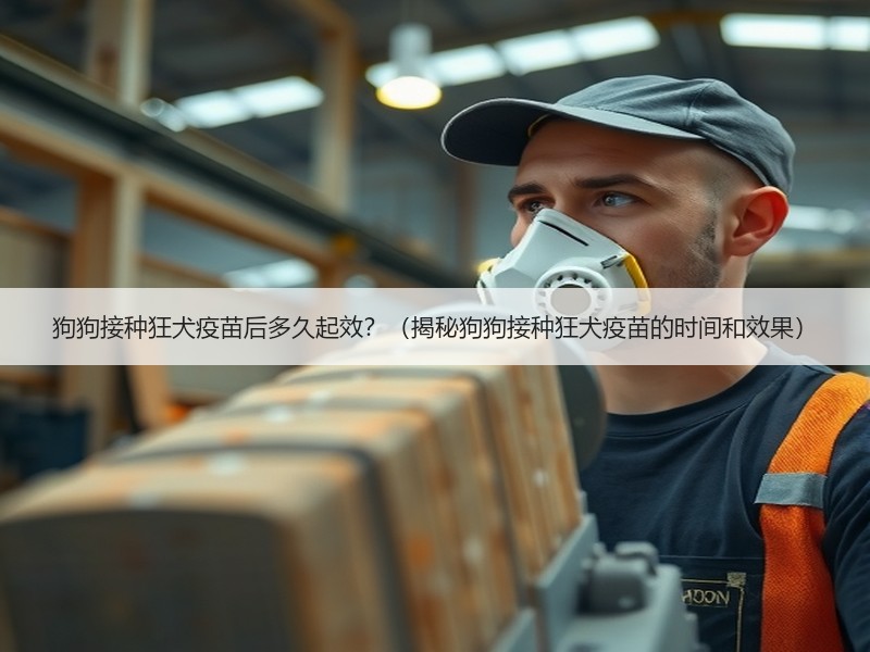 狗狗接种狂犬疫苗后多久起效？（揭秘狗狗接种狂犬疫苗的时间和效果）